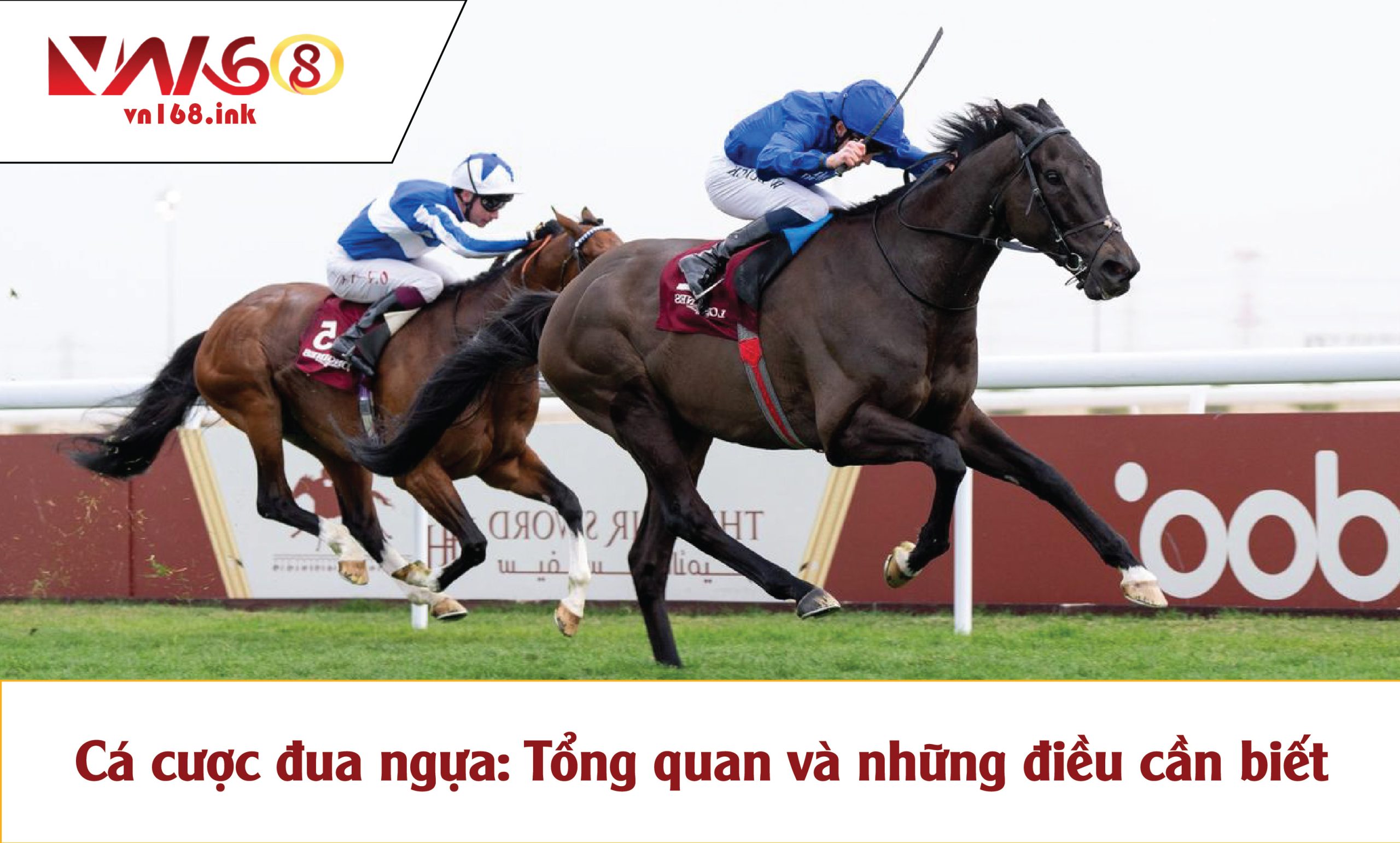 Bí Quyết Cá Cược Đua Ngựa Không Phải Ai Cũng Biết