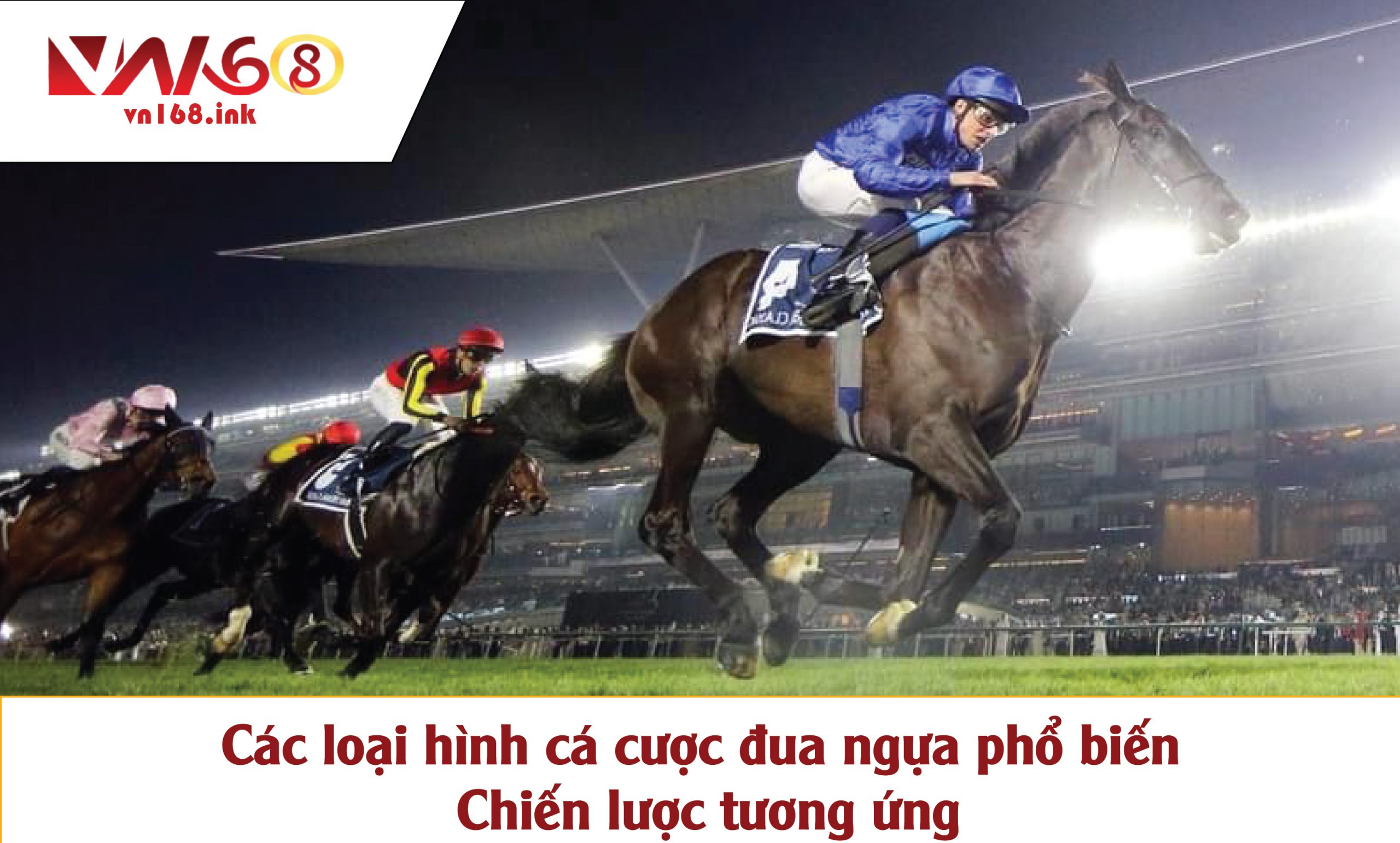 Các loại hình cá cược đua ngựa phổ biến và chiến lược tương ứng