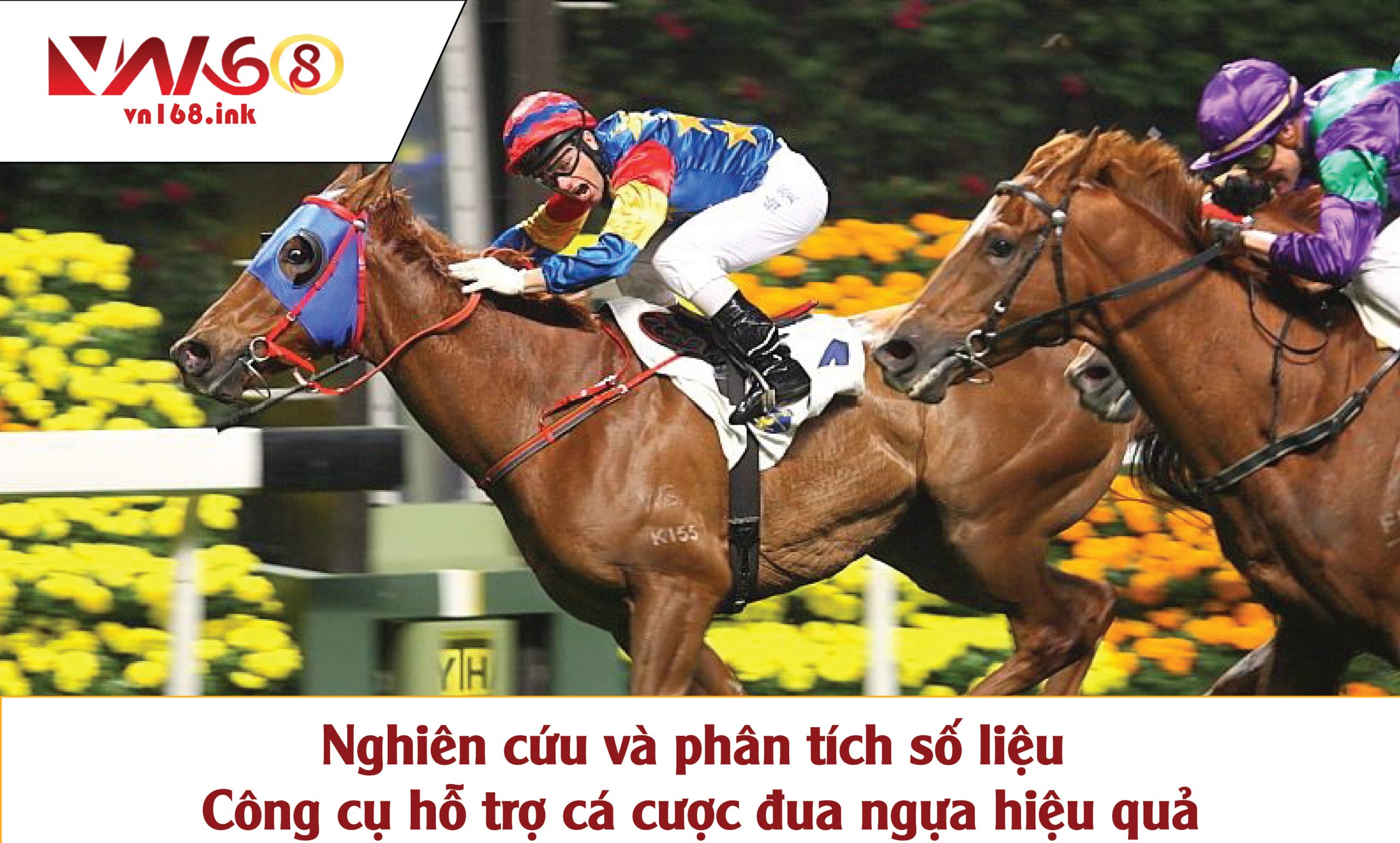 Nghiên cứu và phân tích số liệu: Công cụ hỗ trợ cá cược đua ngựa hiệu quả